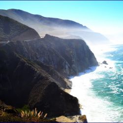 Monterey&Santa Cruz&Point Lobos