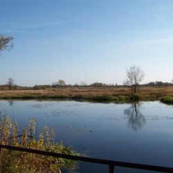 Poleski park narodowy