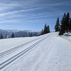 Ramsau 2025
