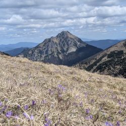 Orava & Malá Fatra